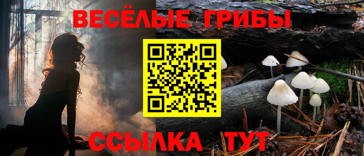 Джанкой  Галлюциногенные грибы GOLDEN TEACHER  Вход с VPN 