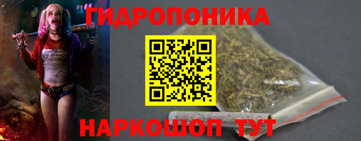 Канабис план  Вход с VPN  Джанкой  Каннабис OG Kush  Марихуана сатива 